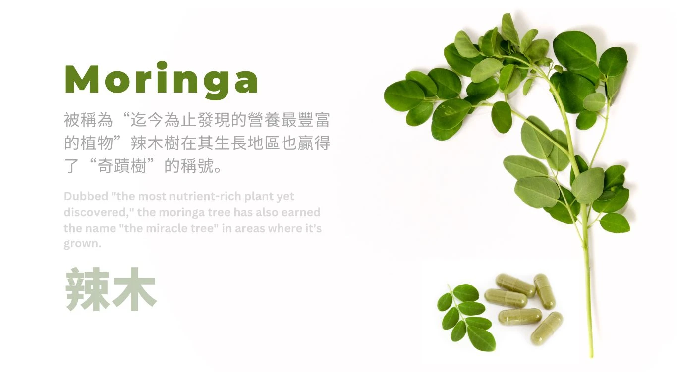 正三圓生技與3果6素超級食物景觀餐廳聯合開幕 打造全台首座「從產地到餐桌」健康飲食新地標 18 1